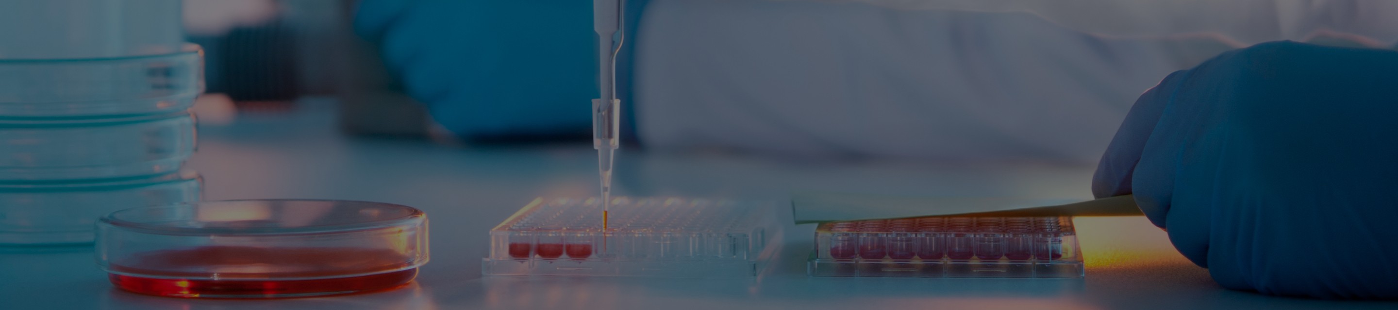 QS_inv_ensayos_cabecera_web