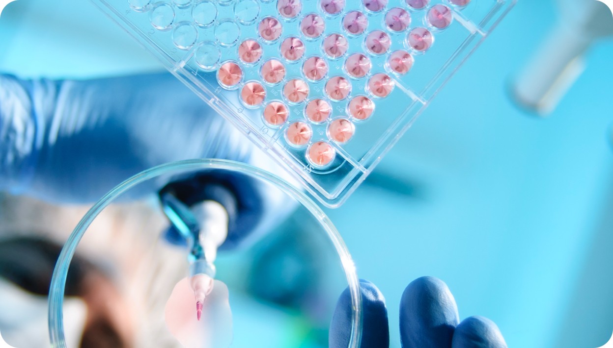 QS_inv_ensayos_ventajas_web