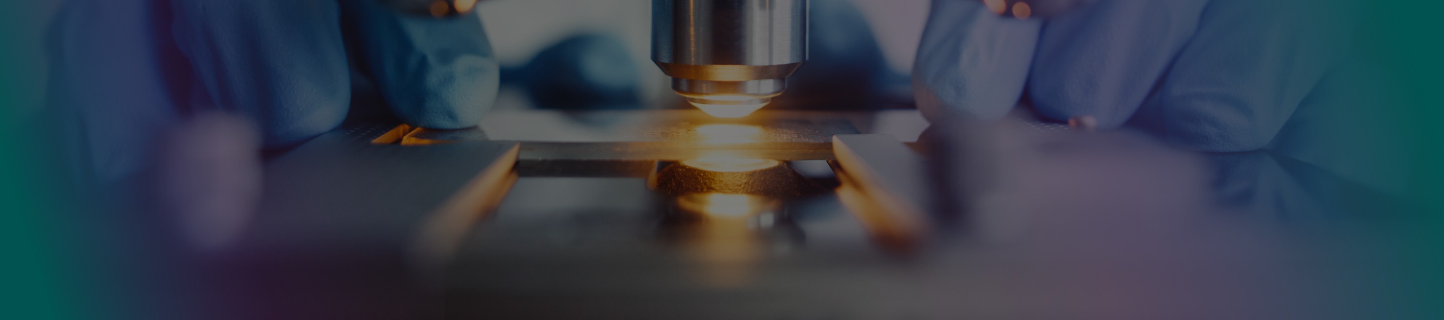 QS_inv_quienes_somos_cabecera_web