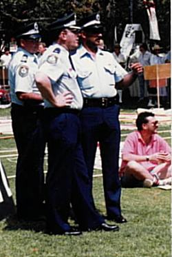 3 cops